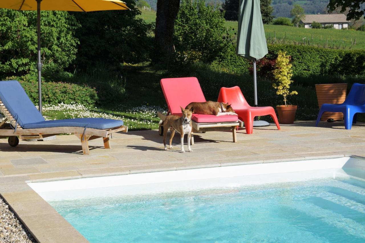 Domaine De Saint Loth' Bed & Breakfast Eksteriør bilde